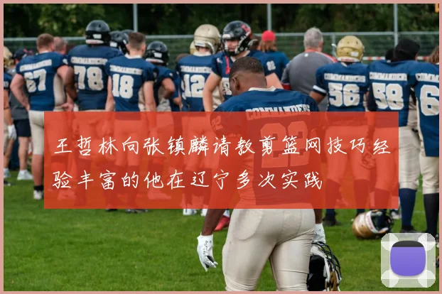 王哲林向张镇麟请教剪篮网技巧经验丰富的他在辽宁多次实践